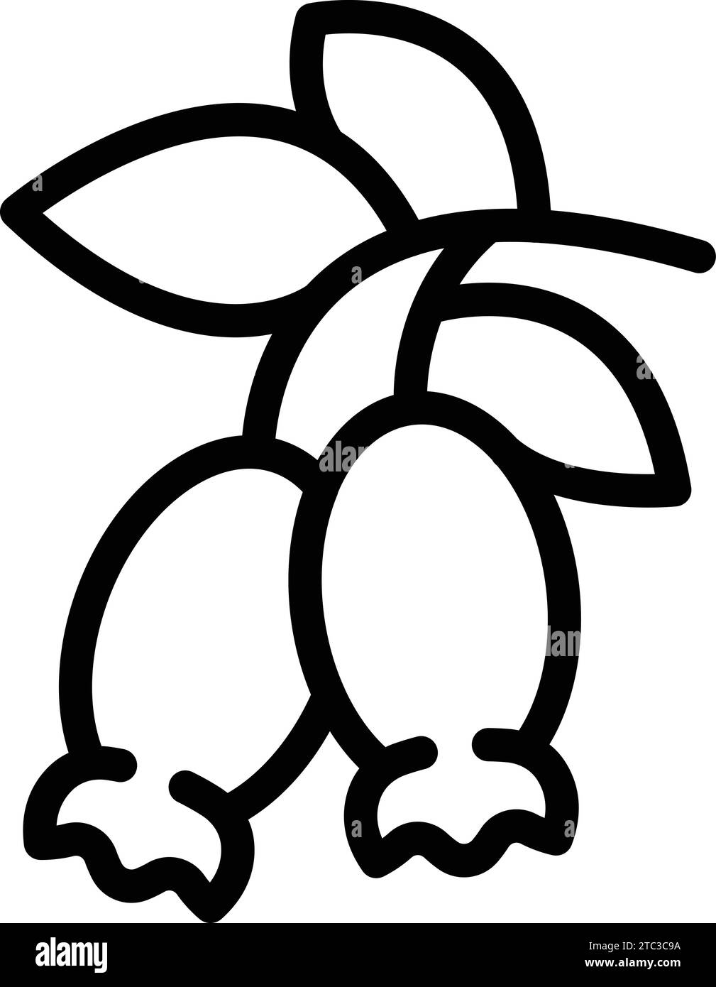 Rosehip icon outline vector. Wild berry food. Garden tea berry Stock