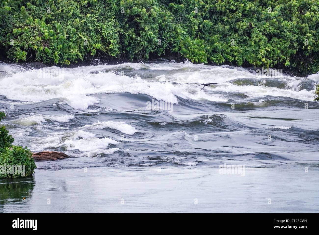 White Water Rapids of the Nile River - Uganda, Africa Stock Photo