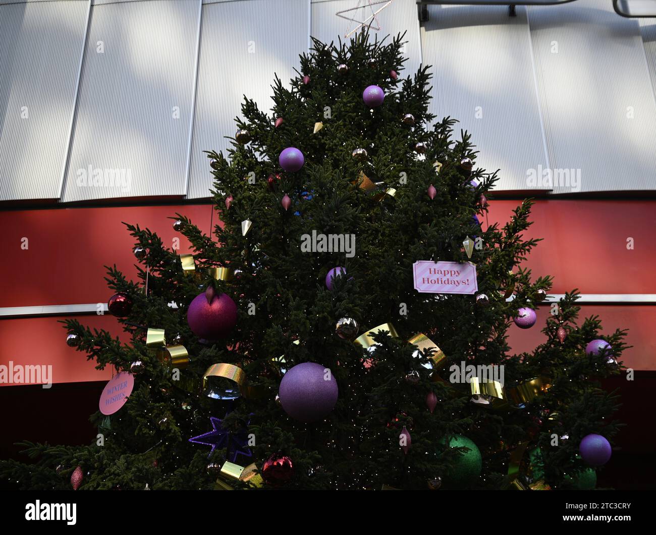 Ku christmas ornaments