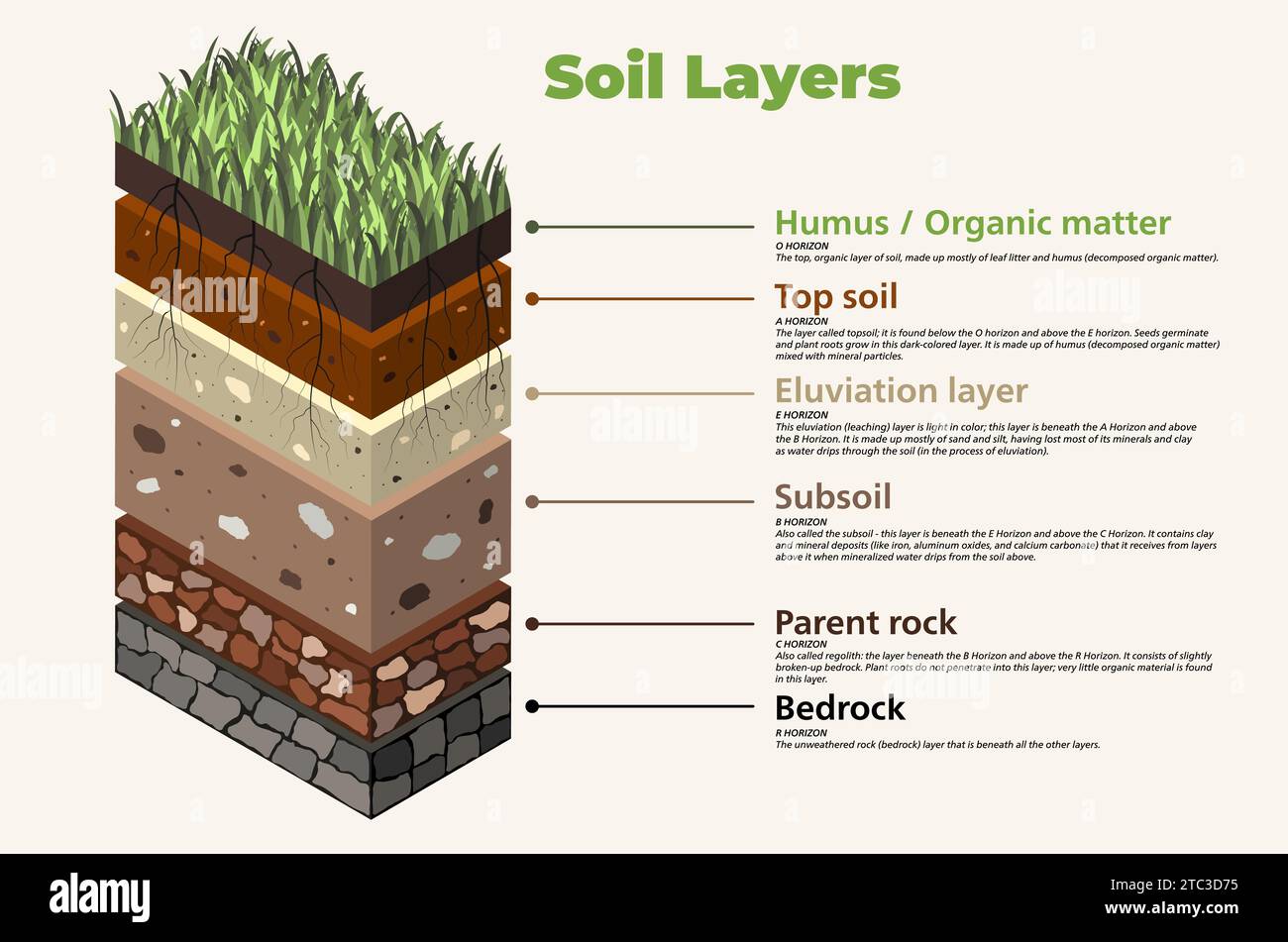 Soil layers (horizons) with names and explanations. Isometric (3d) infographic vector illustration Stock Vector