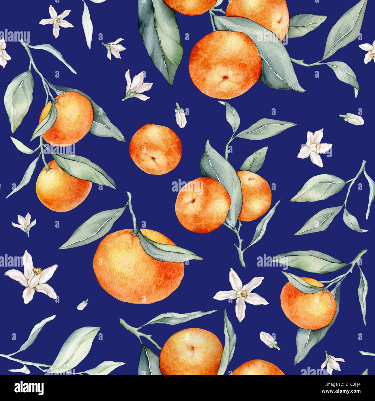 Seamless Pattern with Orange Fruit Branches, green leaves and white ...