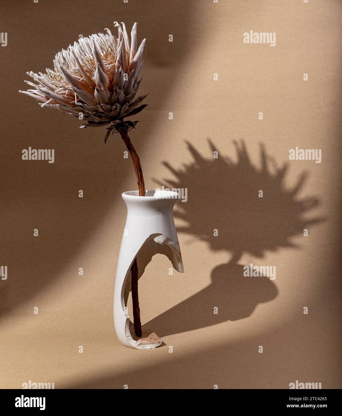 Broken vase floor hi-res stock photography and images - Alamy