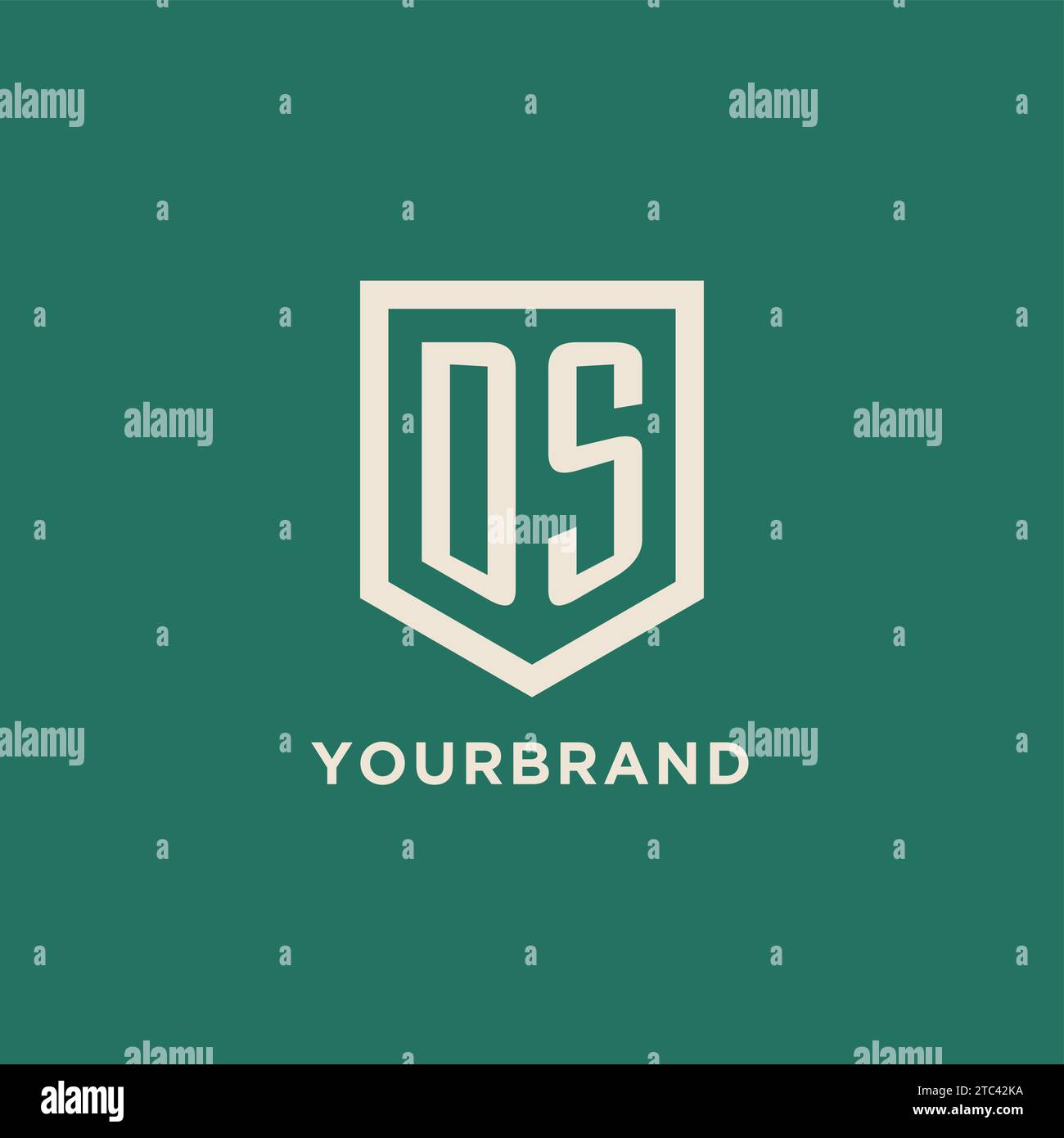 DS initial logo monogram shield geometric shape design vector graphic Stock Vector