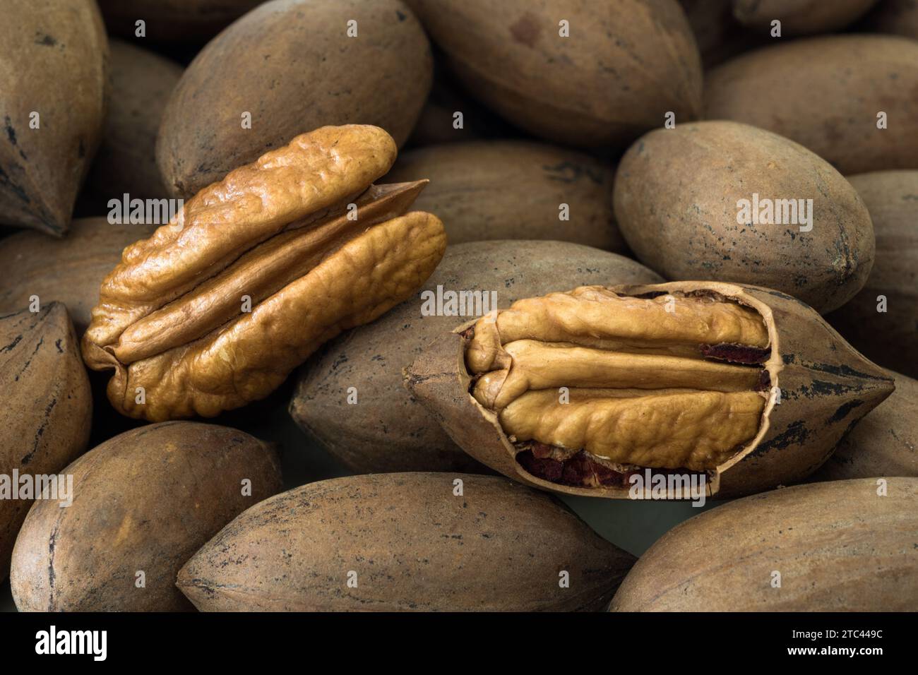 Peeled pecan nuts among shelled Pecan nuts Stock Photo
