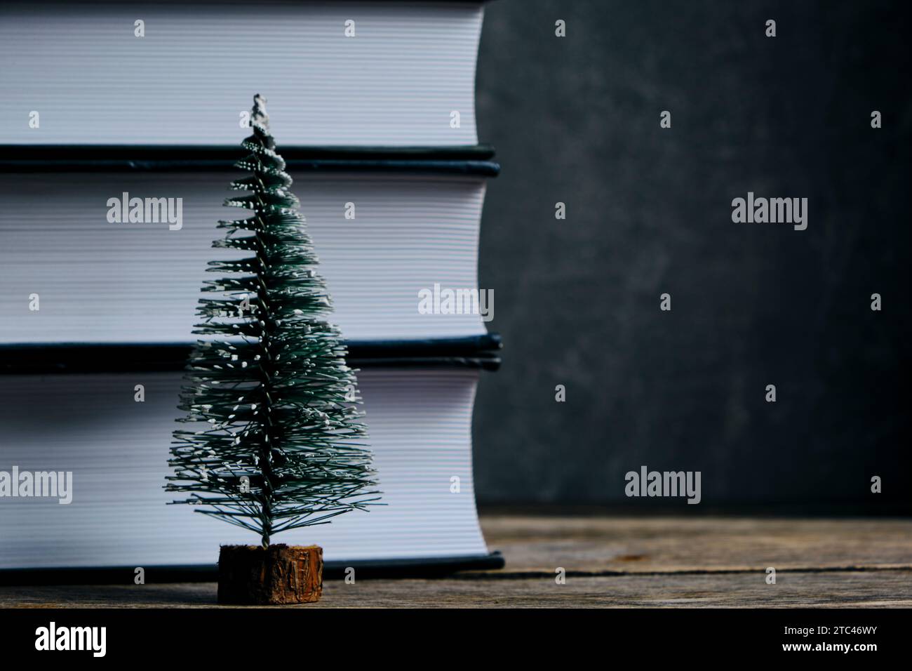 Small Christmas tree on the background stack books Stock Photo