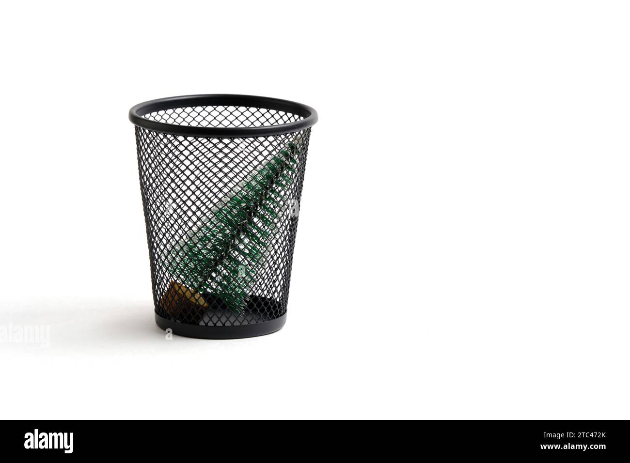 Christmas tree was thrown in trash. Concept completing winter holidays