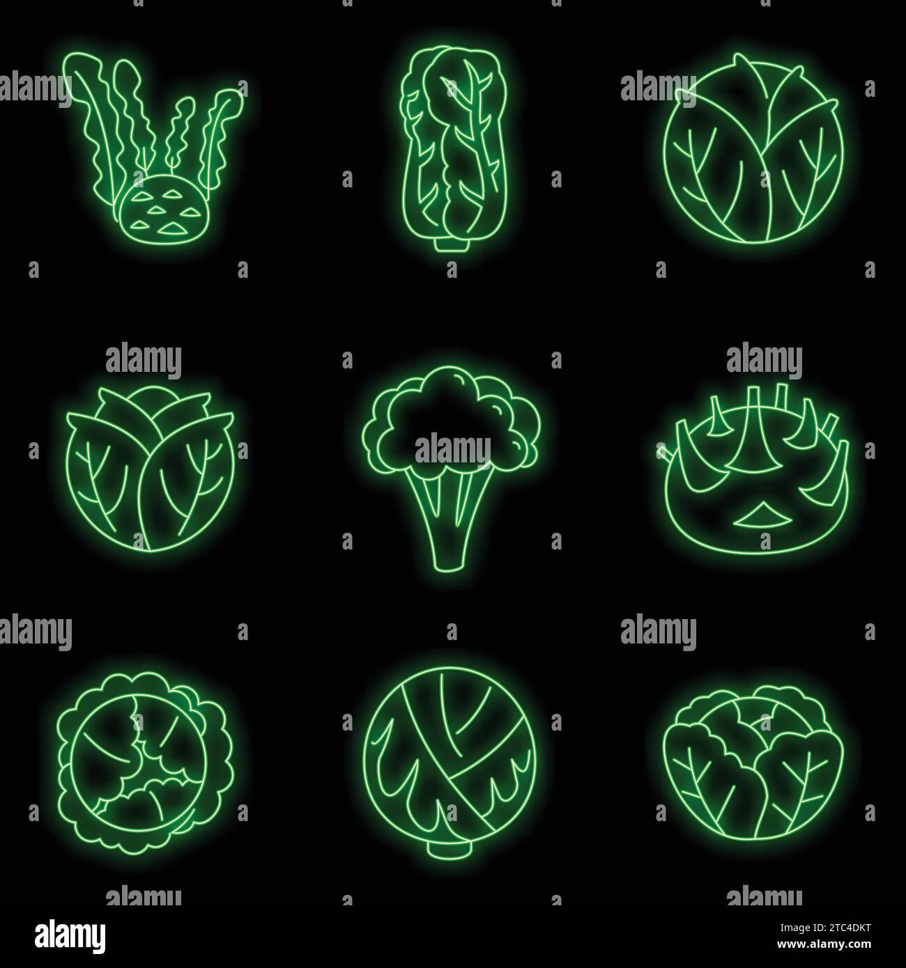 Agriculture cabbage icons set. Outline set of agriculture cabbage ...