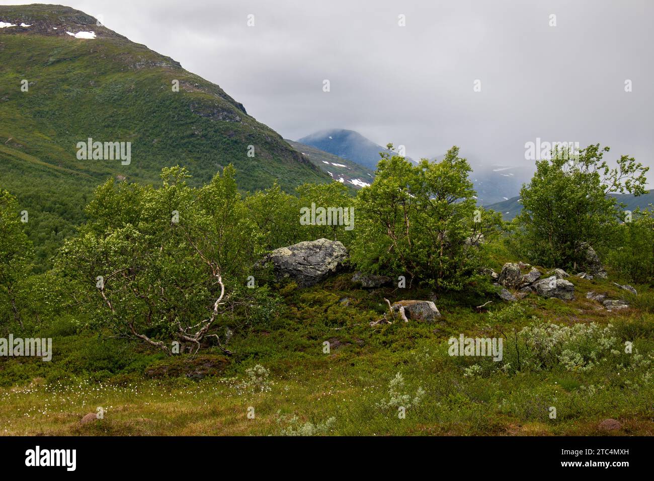 Mountains around Padjelanta hiking trail in the north of Sweden in early July Stock Photo
