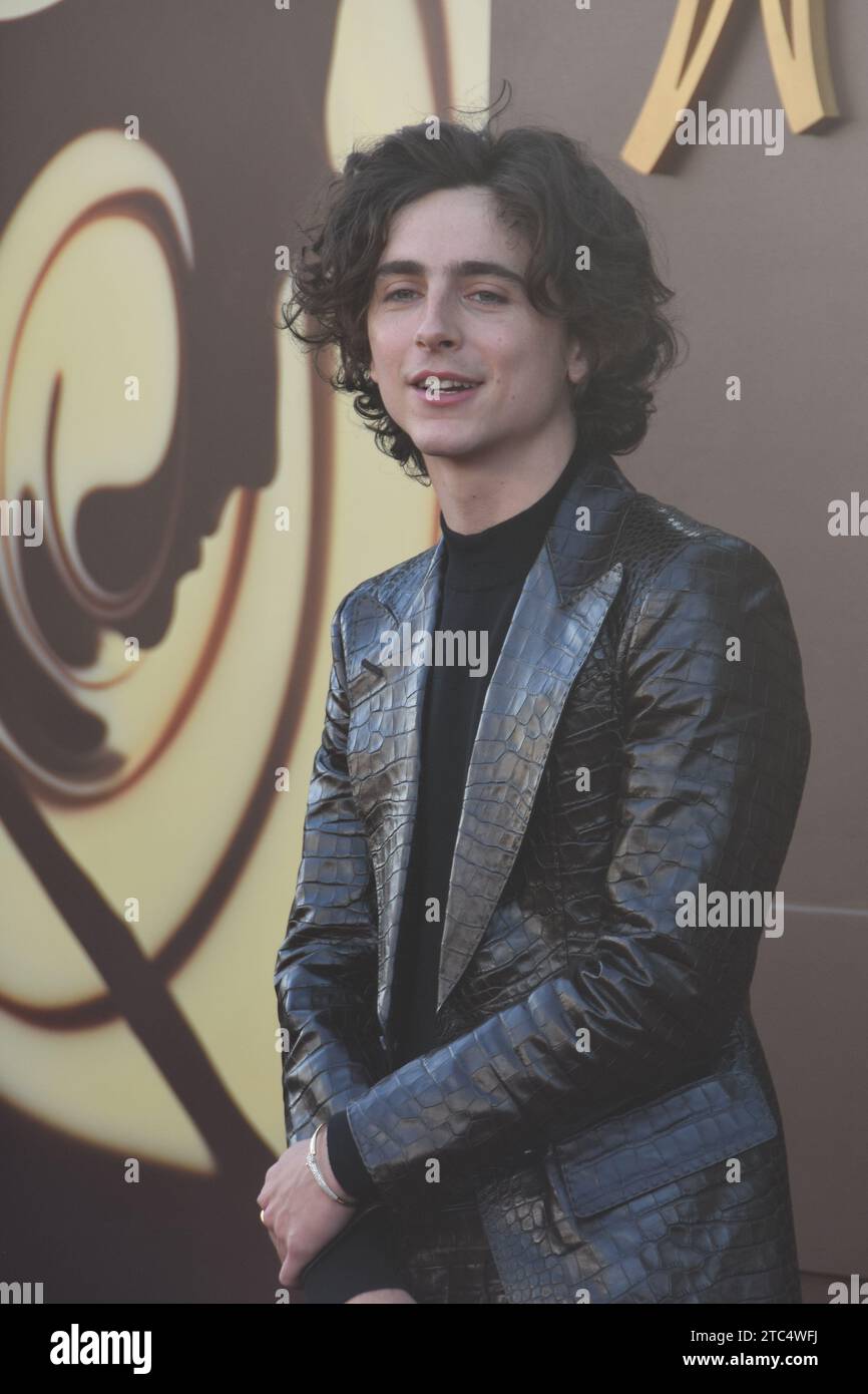 Los Angeles, California, USA 10th December 2023 Actor Timothee Chalamet ...