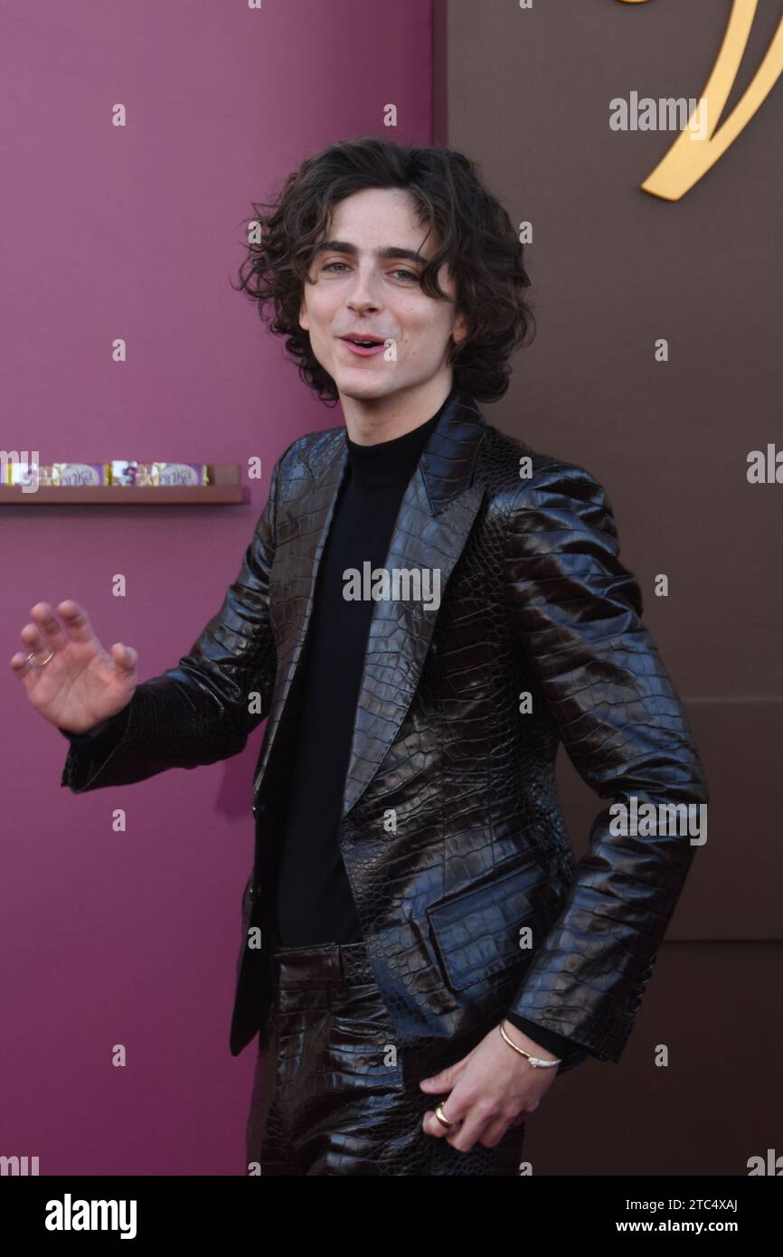 Los Angeles, California, USA 10th December 2023 Actor Timothee Chalamet ...
