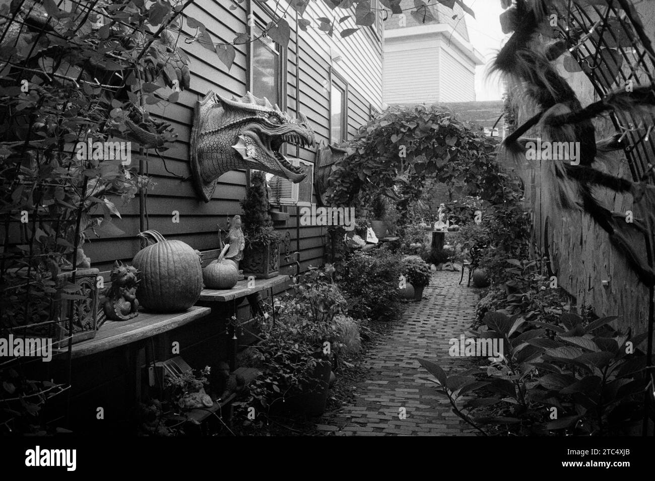 Salem, Massachusetts - An alleyway behind a restaurant in Salem is decorated with a dragons head, pumpkins, and a giant spider for Halloween calibrati Stock Photo