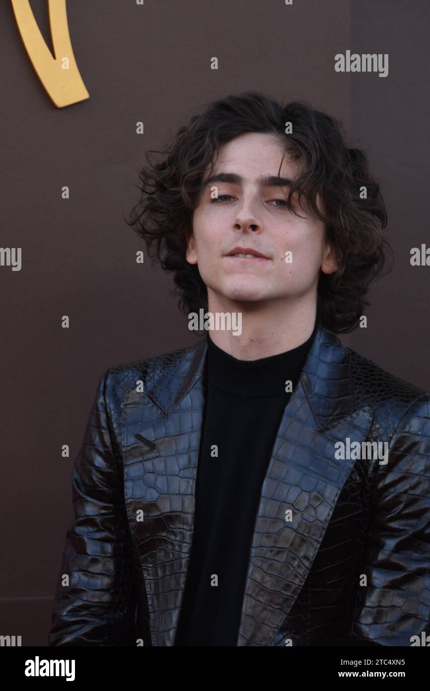 Los Angeles, California, USA 10th December 2023 Actor Timothee Chalamet ...