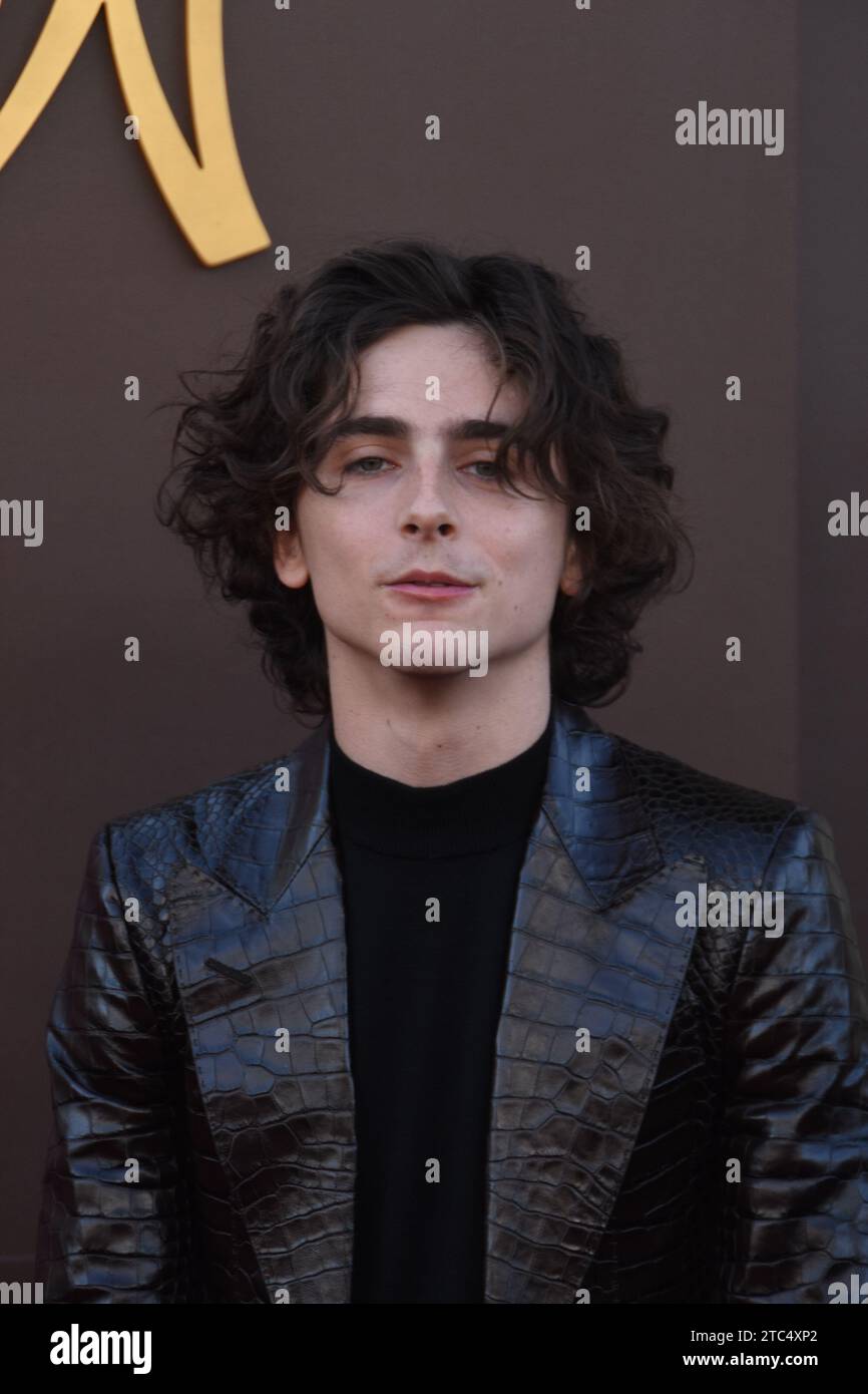 Los Angeles, California, USA 10th December 2023 Actor Timothee Chalamet ...