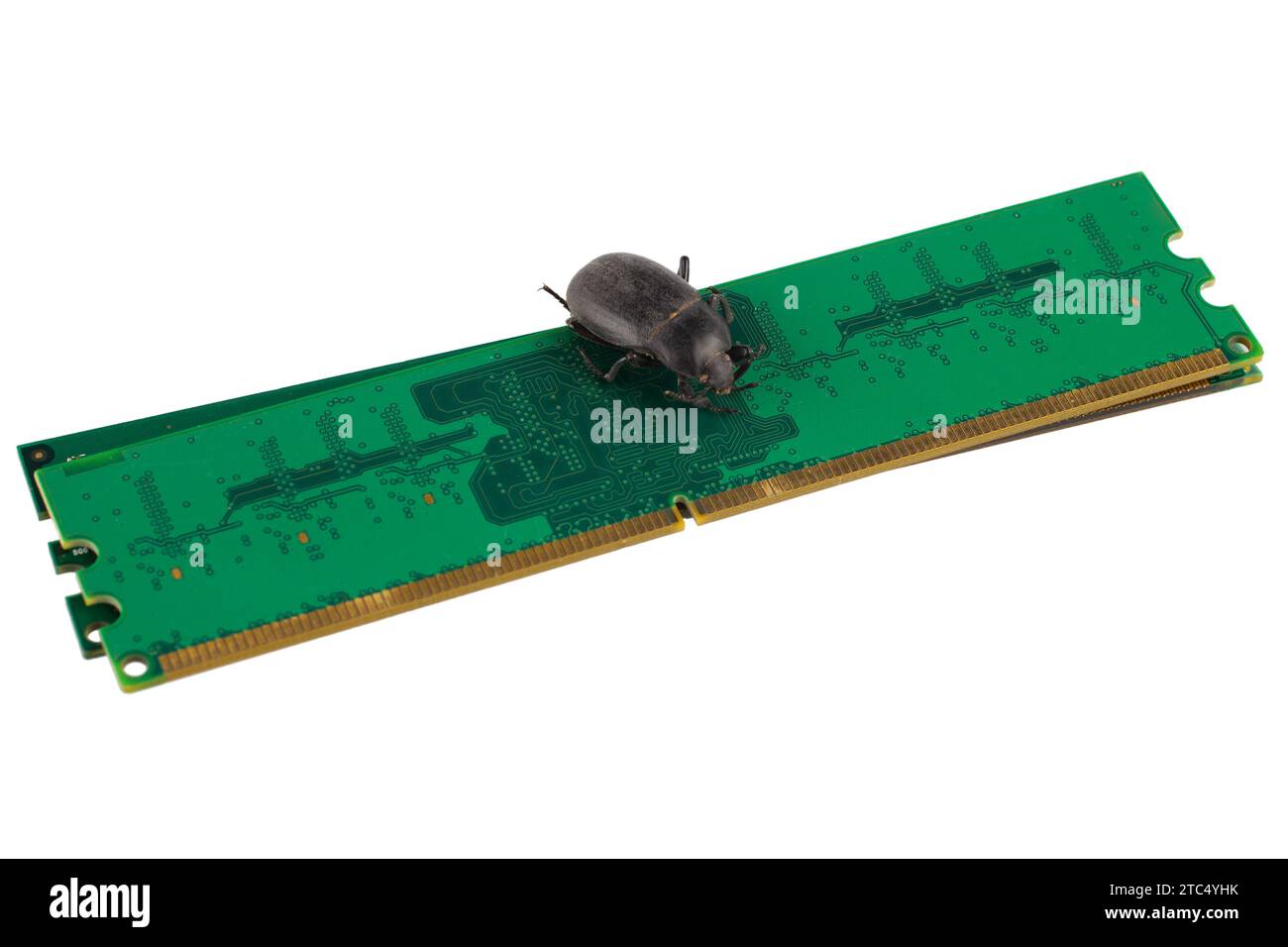 Bug on PC memory circuit board. Computer error concept. Isolated on ...
