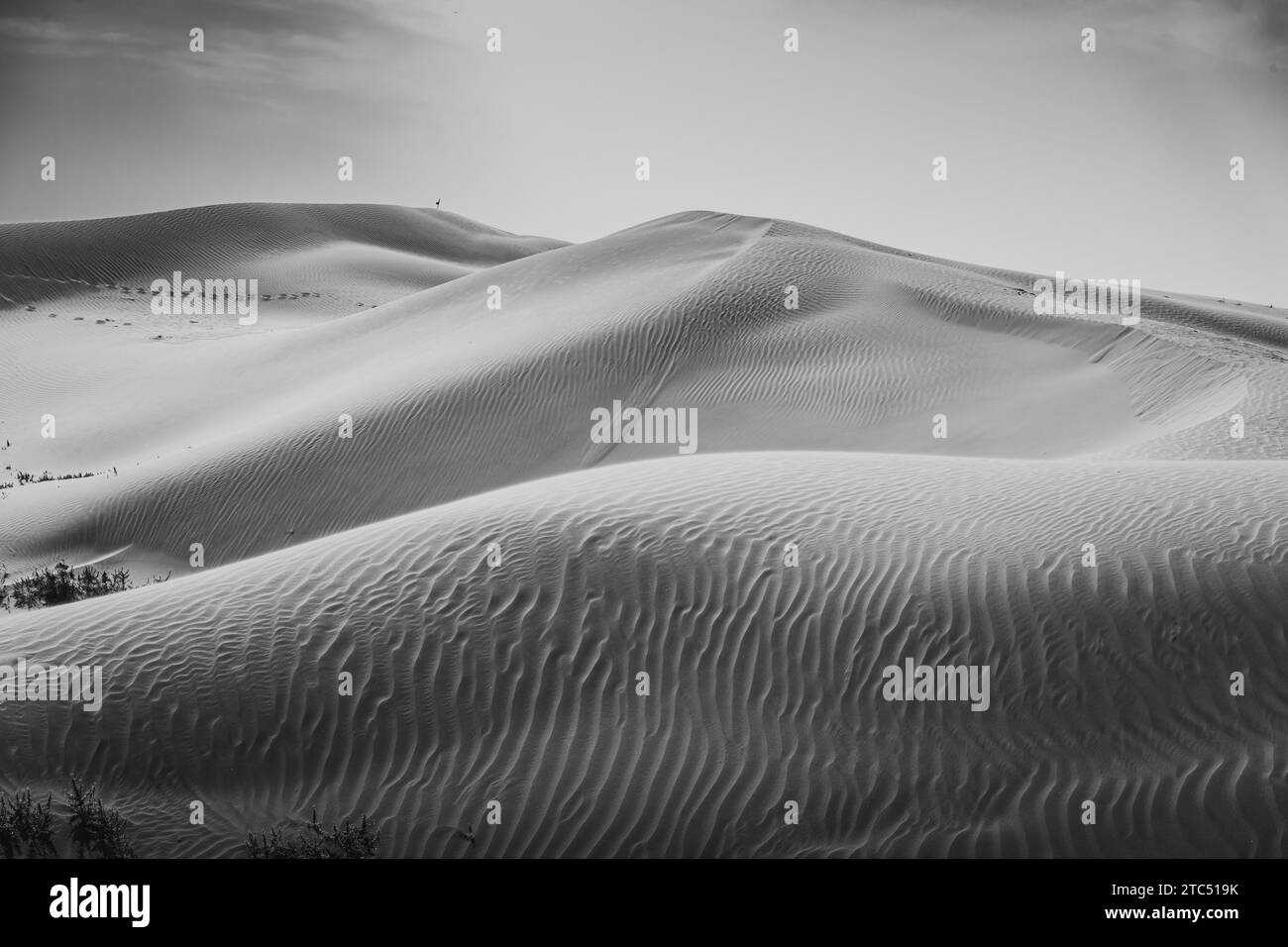 Beautiful untouched sand dunes in Inner Mongolia, China. Wallpaper, background image with copy space for text, black and white Stock Photo