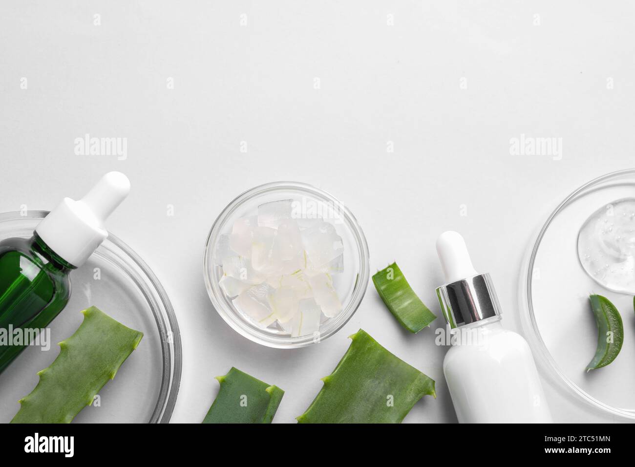 Flat lay composition with cosmetic products and cut aloe vera on white ...