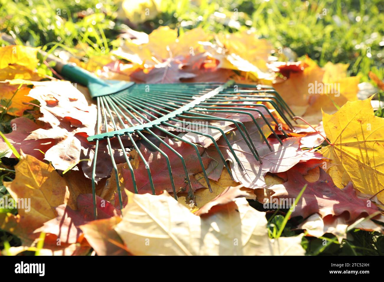 Fall Leaf Rake Different leaf rake hi-res stock photography and images - Alamy