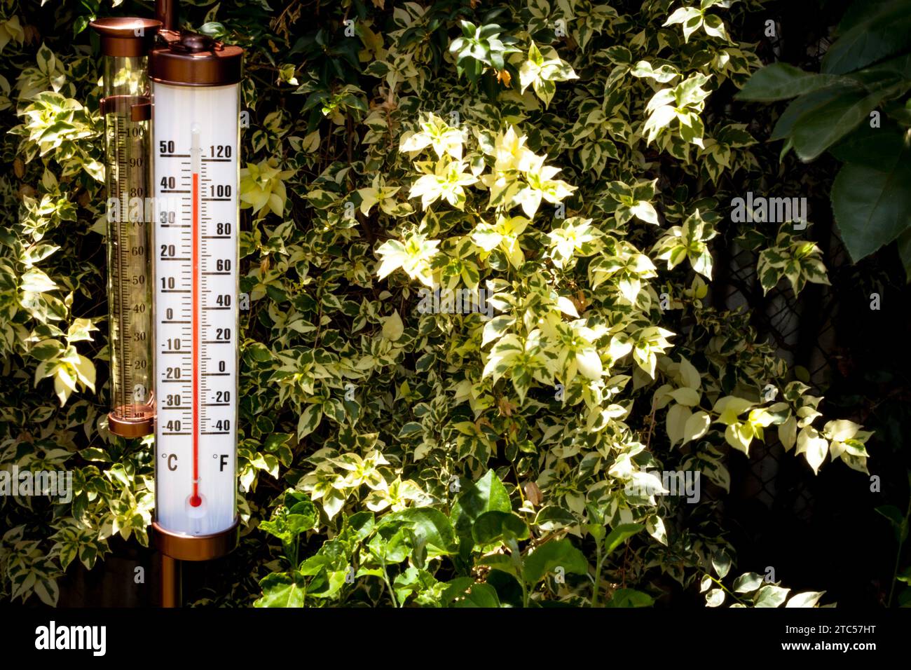 45 degrees celcius in farenheit deals