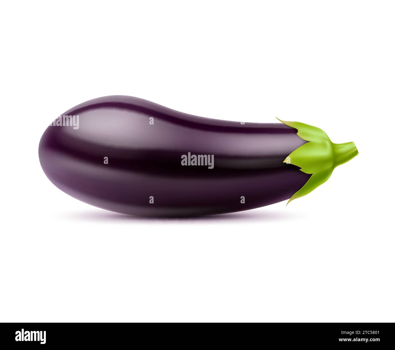 Brinjal firm Stock Vector Images - Alamy