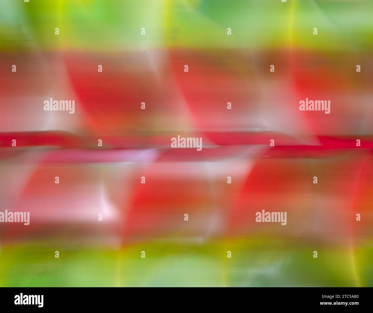 Colorful flora in motion blur. Nature background concept Stock Photo