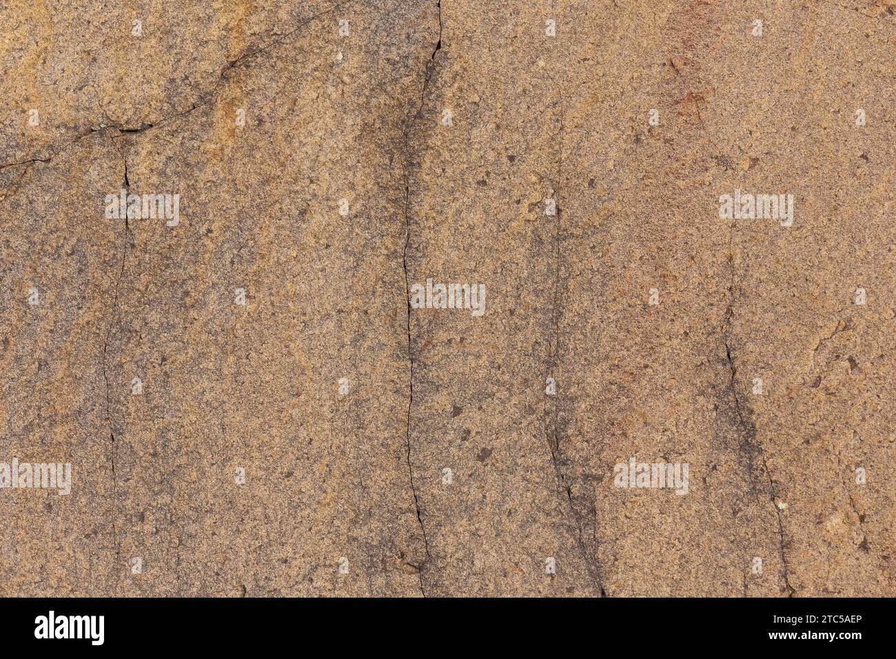 Sand stone texture detail, closeup shot of the rock surface. Background idea Stock Photo