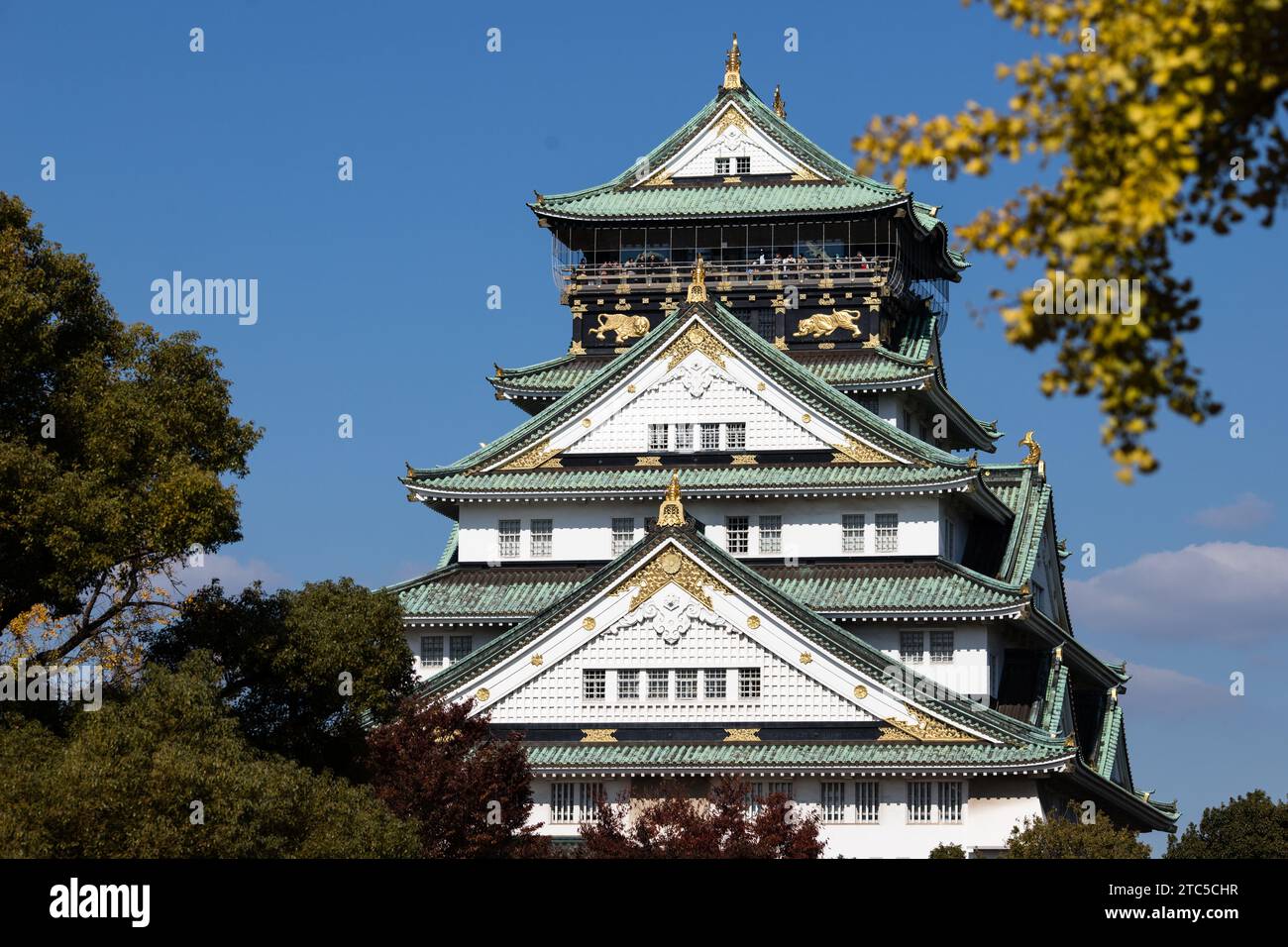 Street Photography of Osaka, Japan in autumn. Stock Photo
