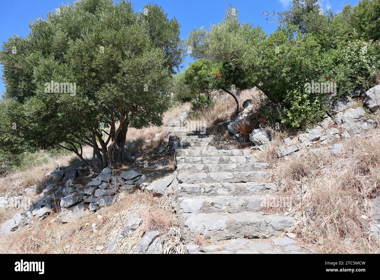 Torca - Punti alberati per la sosta lungo la scala dei 700 gradini Stock Photo