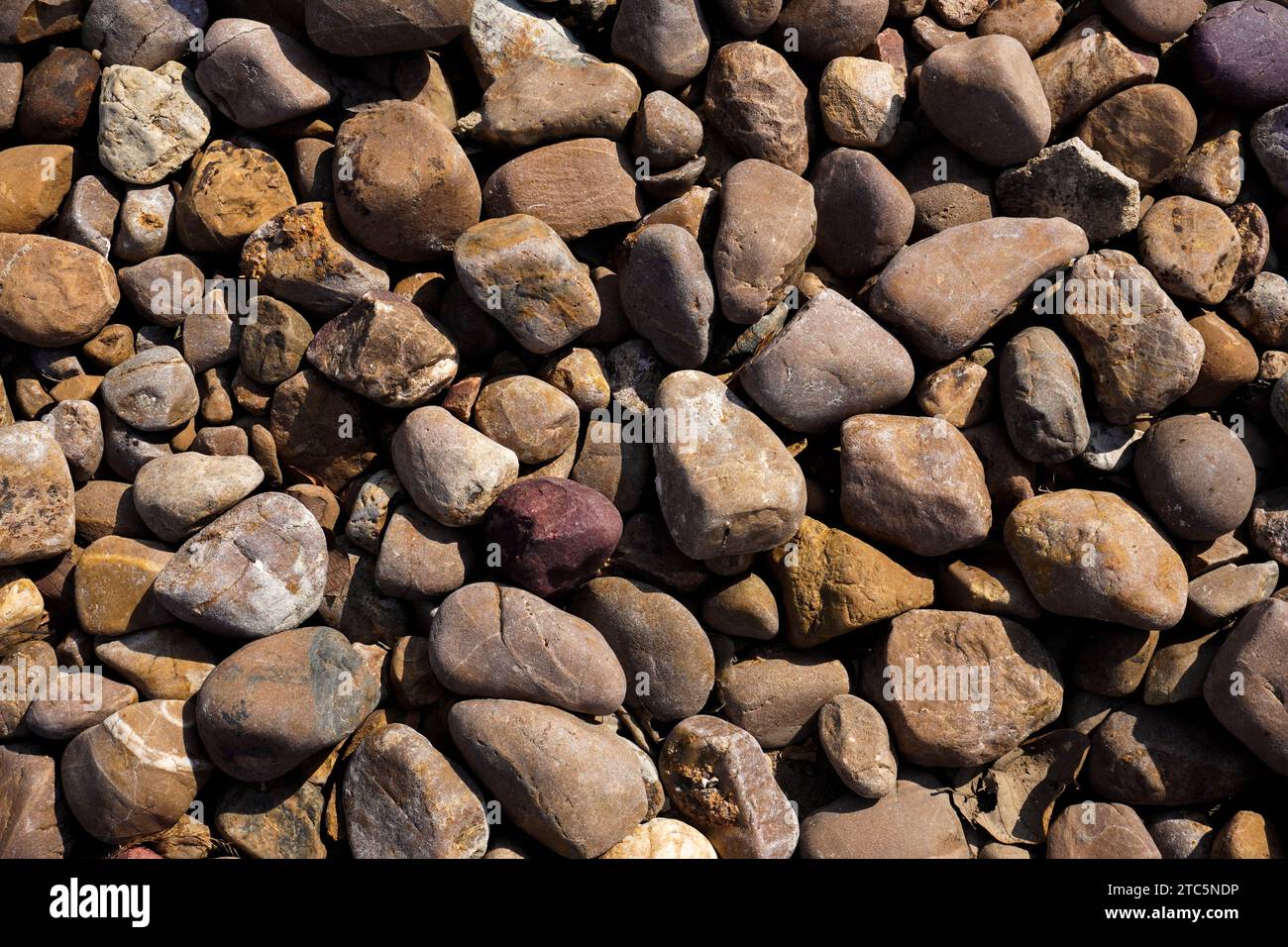 Close-up shot with gravel stones, pebbles as a background. Stock Photo