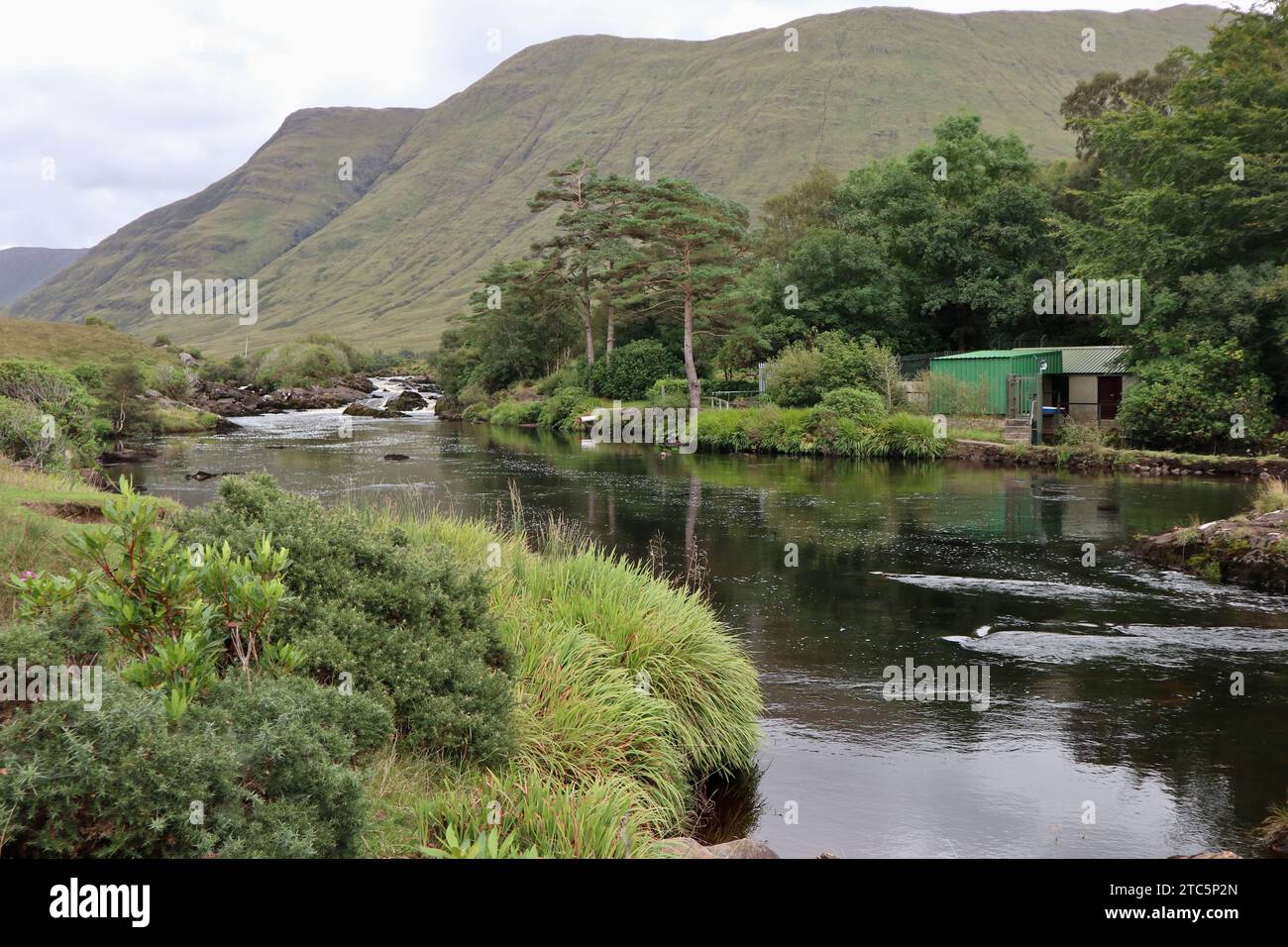 Leenane - Erriff River a monte delle Aasleagh Falls Stock Photo