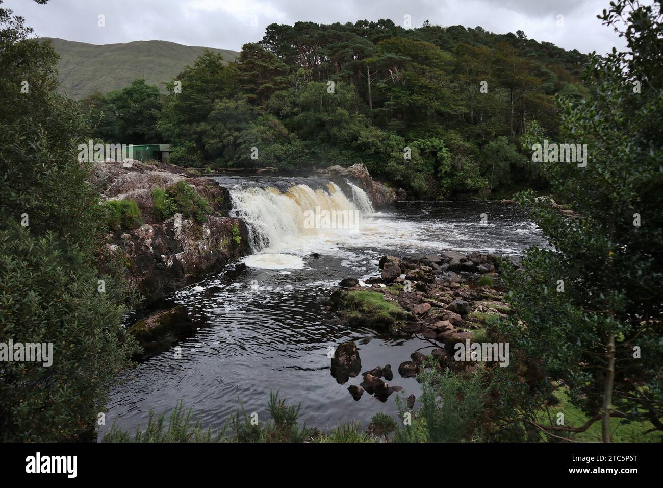 Leenane - Scorcio delle Aasleagh Falls sul fiume Erriff Stock Photo