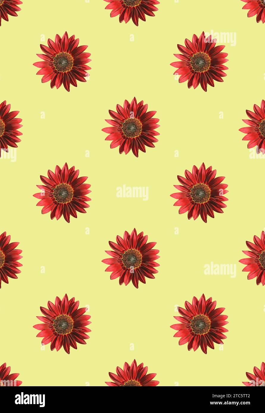 Seamless Pattern of Blossoming Red Sunflowers on Banana Yellow Backdrop Stock Photo