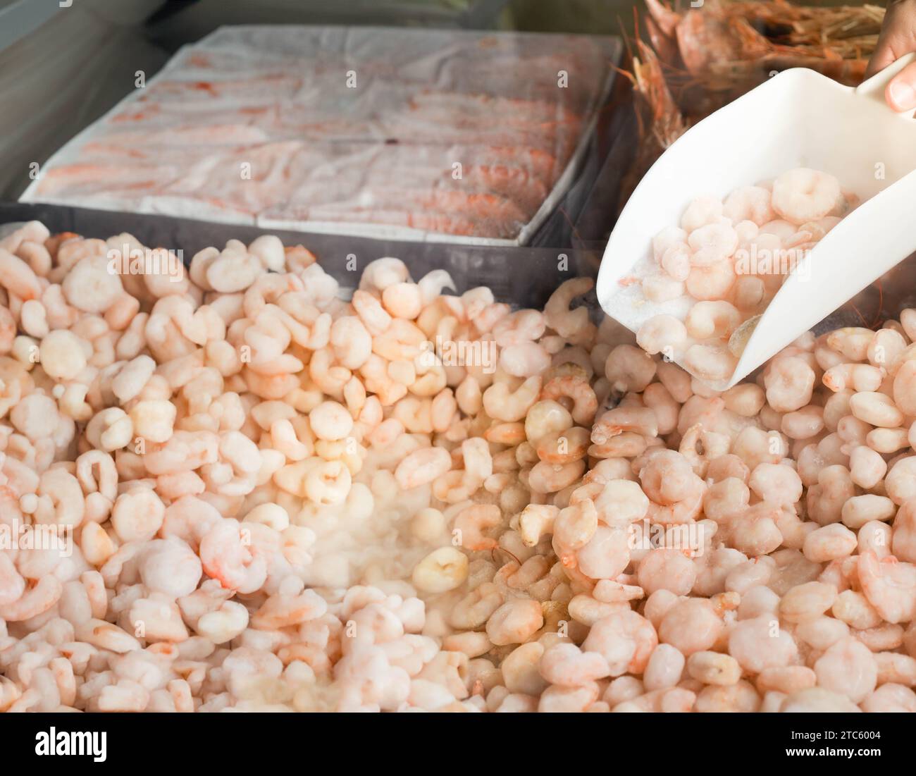 Quick frozen peeled shrimps in a fish market. Close-up shooting of seafood in a display. Stock Photo