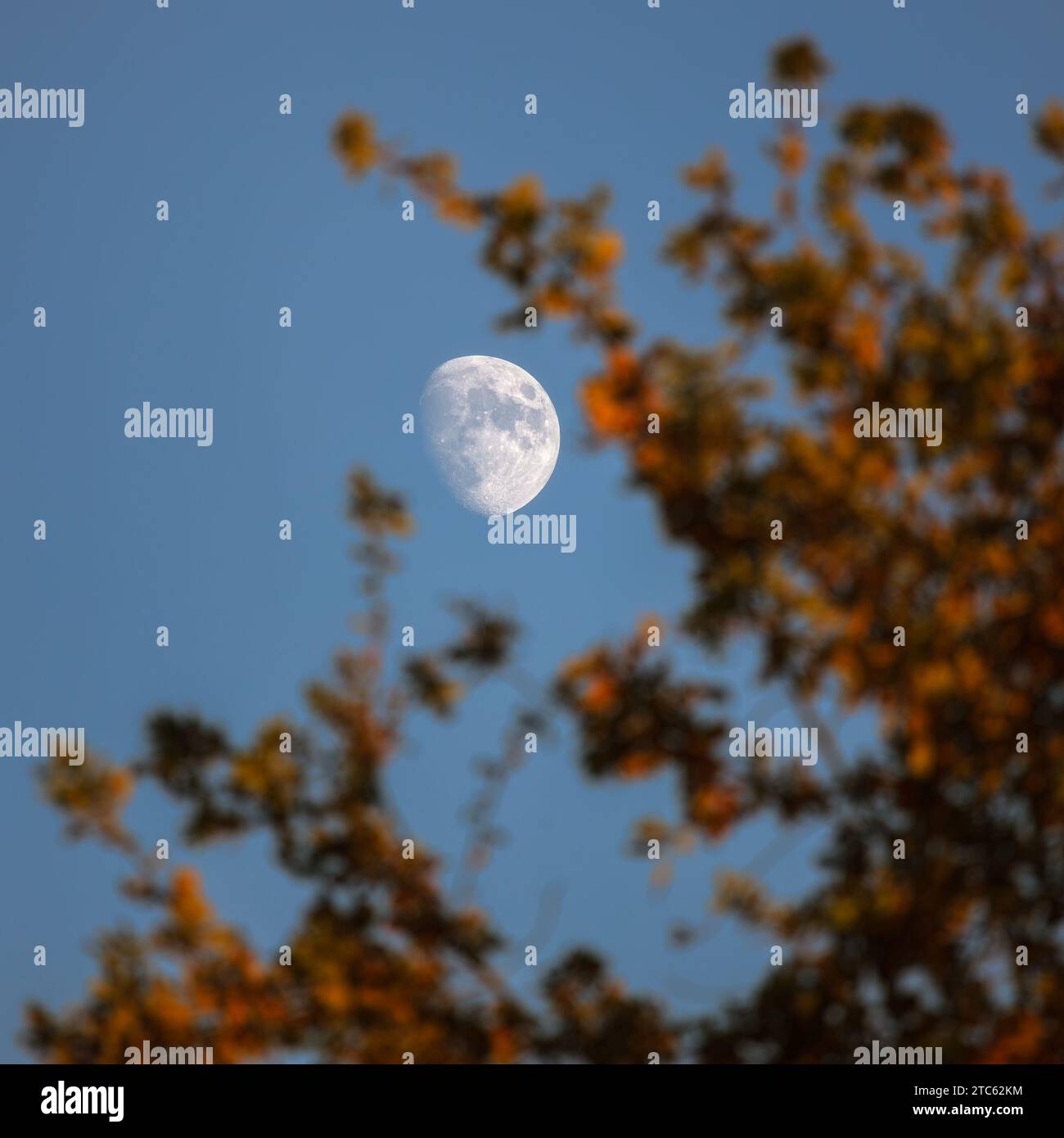 Framing the moon Stock Photo