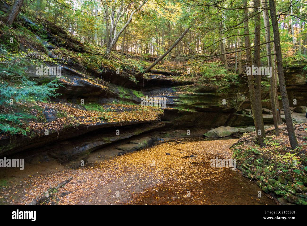 Autumn at Hocking Hills State Park in the Hocking Hills region of