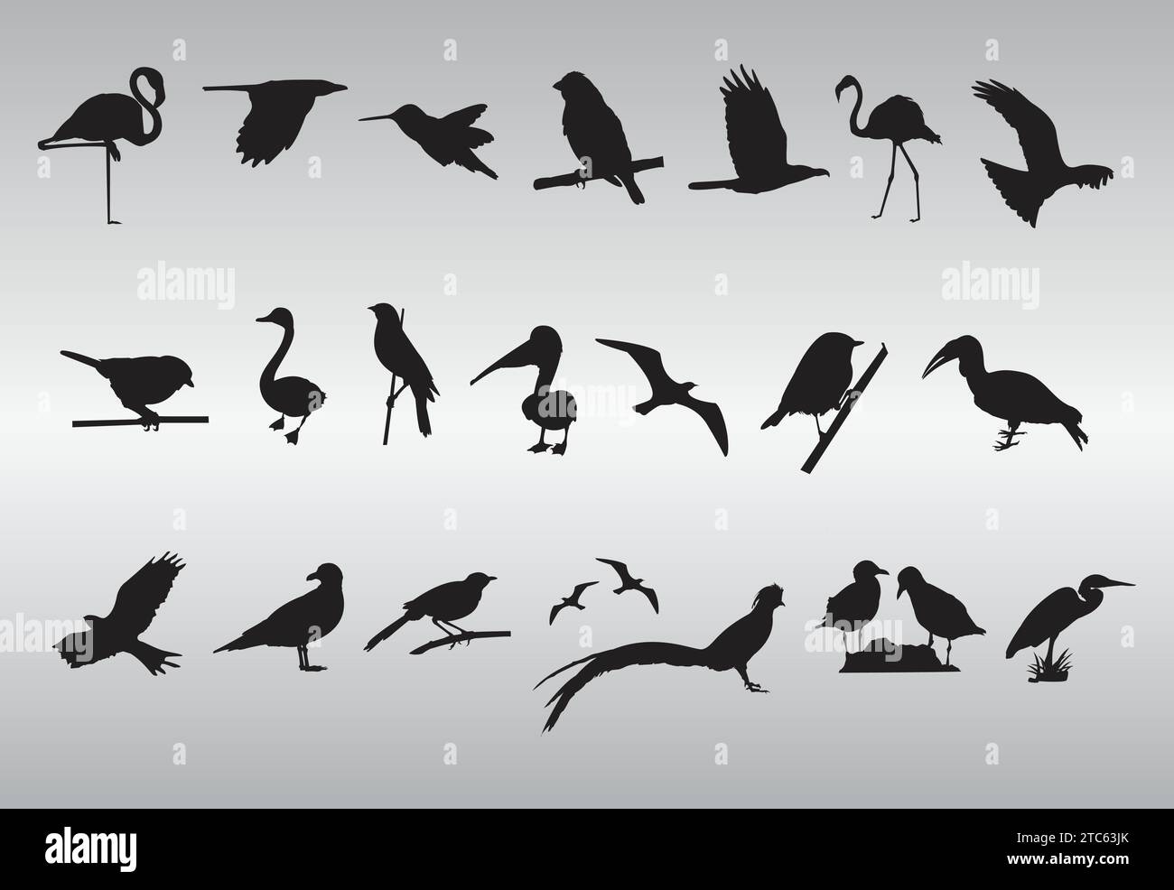 Free Vector Bird Silhouettes Collection Stock Vector