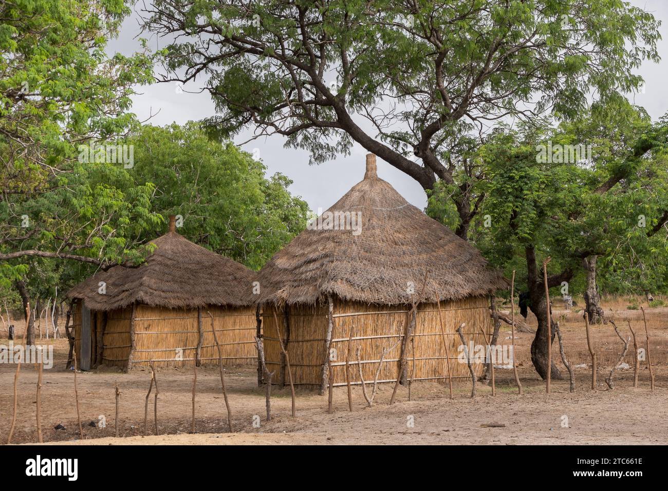 Traditional dwellings in the village of Sipo in the Sine-Saloum delta of Senegal Stock Photo