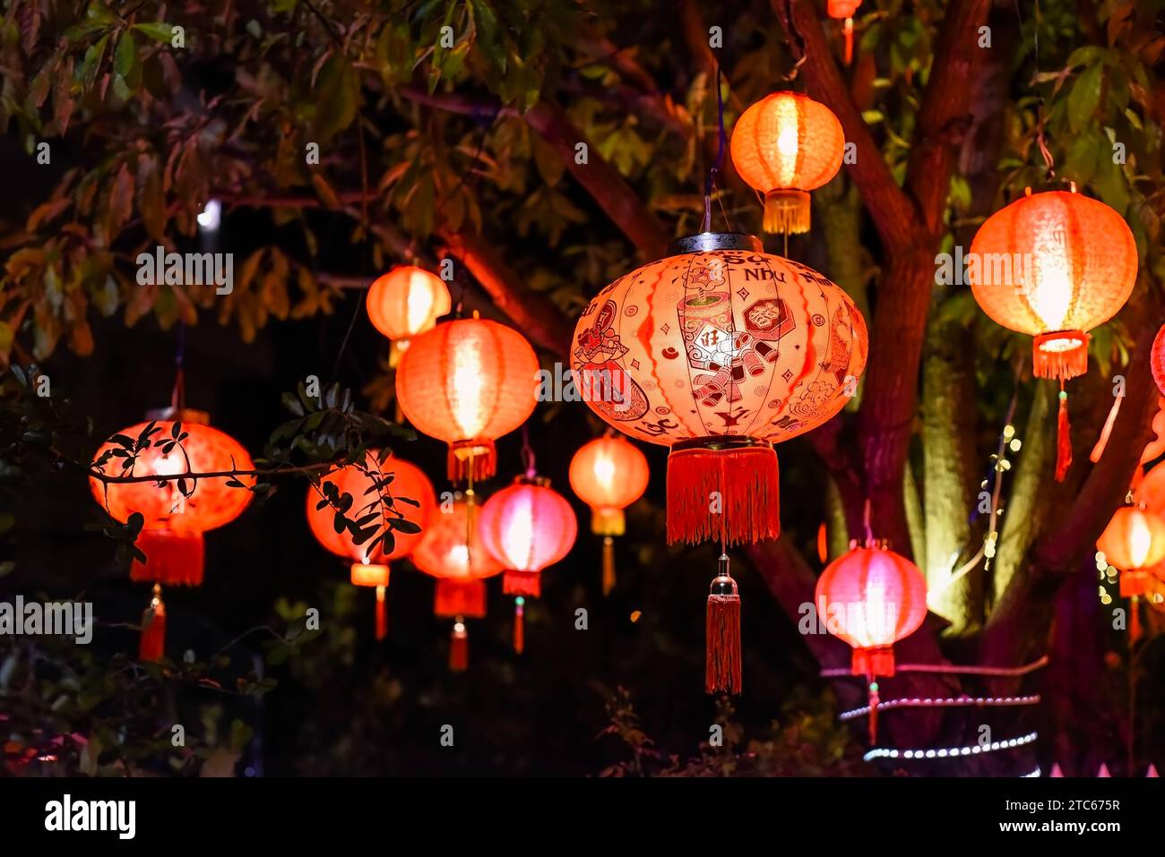 Many red lanterns with vietnamese language translated as "Happy New