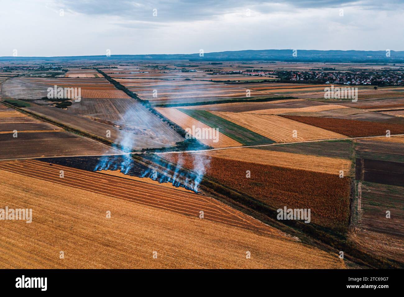 Wheat field stubble burning after the harvesting of grains is one of the major causes of air pollution, aerial shot from drone pov, high angle view Stock Photo
