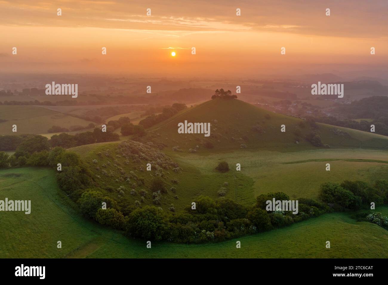 Sunrise over Colmer's Hill in Symondsbury, Dorset, England.  Summer (June) 2023. Stock Photo