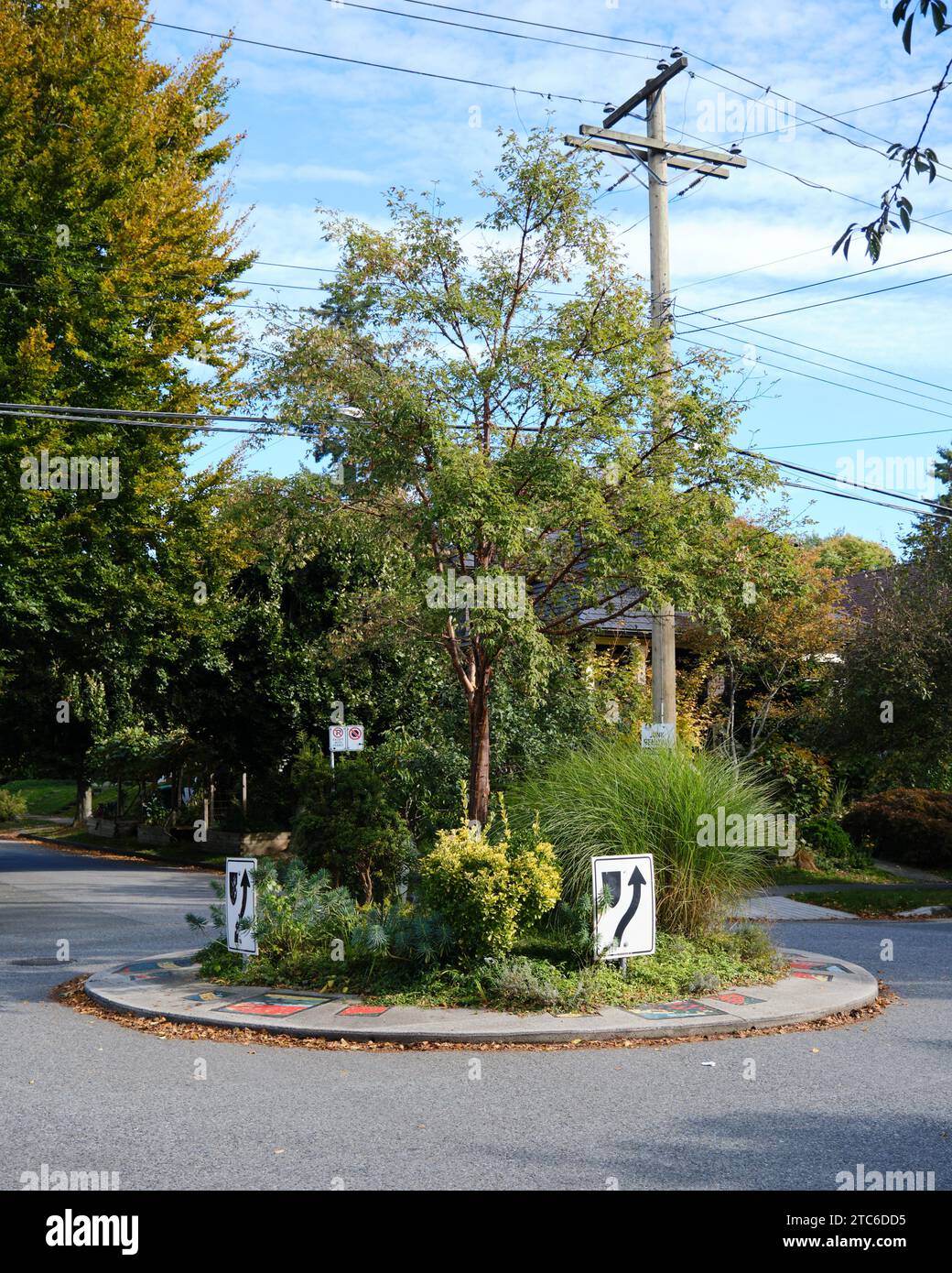 small urban round-about covered in green shrubs on tight intersection to force reduced speed. Vancouver, BC Stock Photo