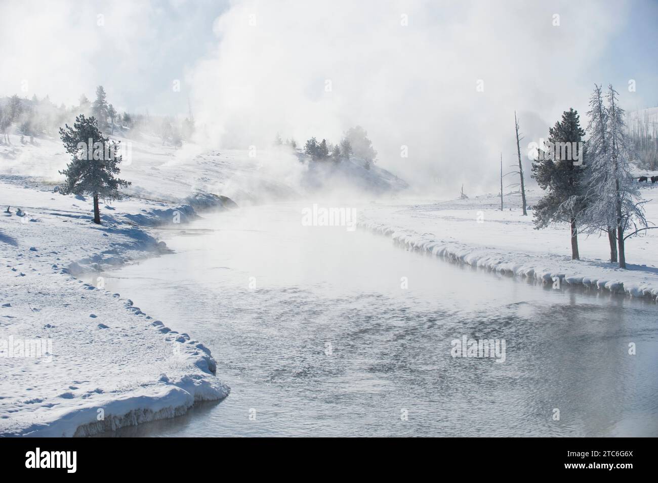 Yellowstone Spring Steam Steam rising from a river in winter in Yellowstone National Park ...