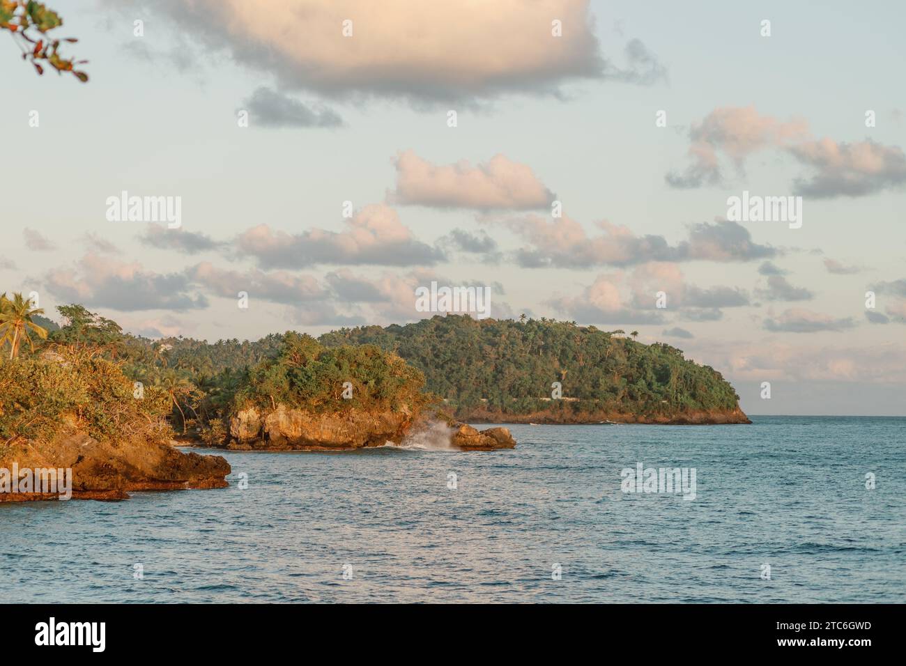 Tropical paradise lush greenery hi-res stock photography and images - Alamy