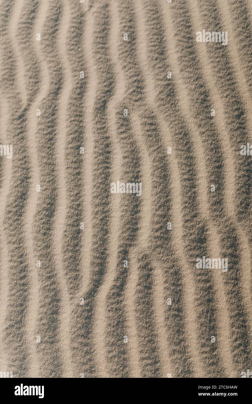 Abstract ridges and shadows through wind blown sand Stock Photo