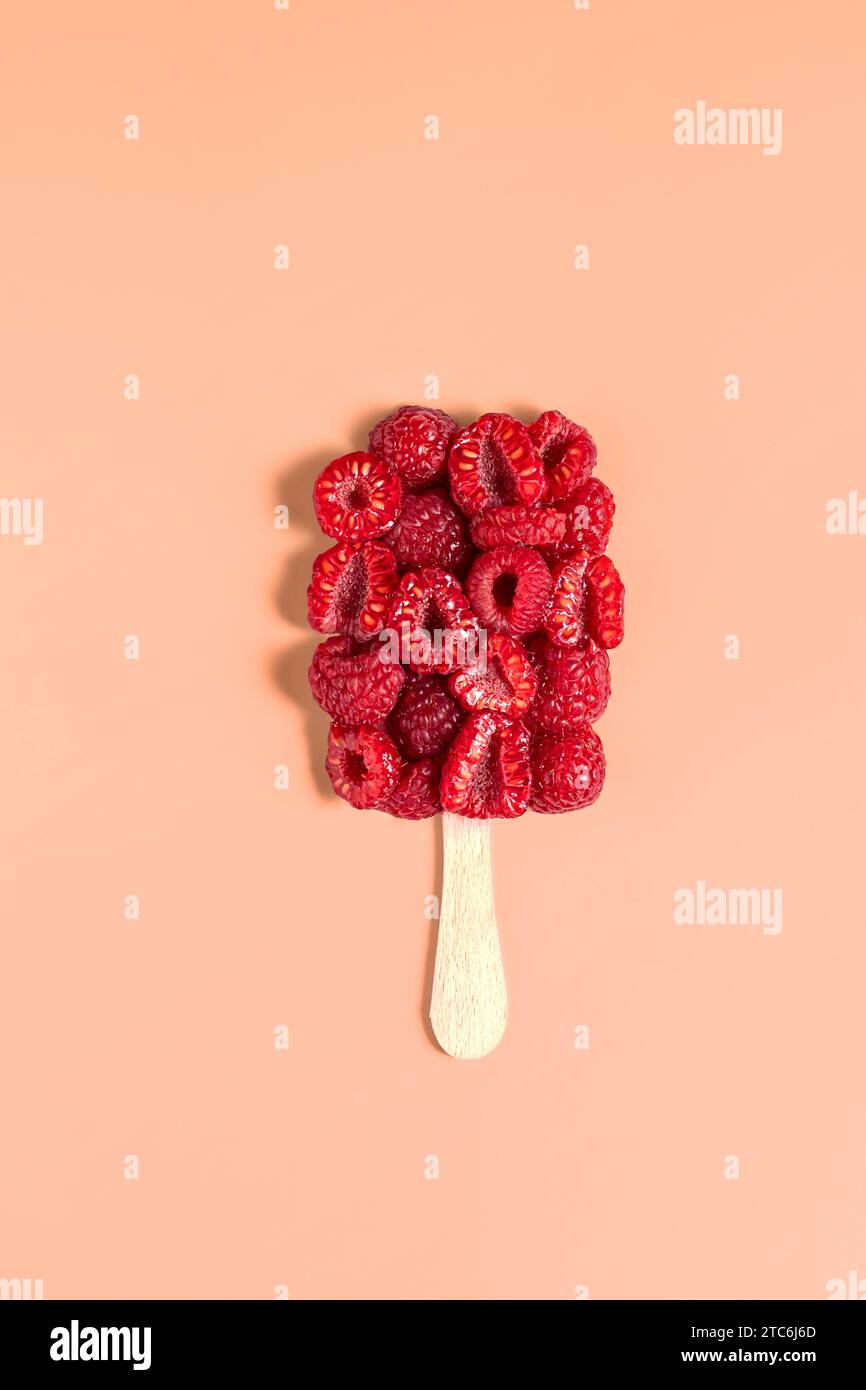 Healthy Ice Cream From Fresh Raspberries Pantone Color 2024 Stock   Healthy Ice Cream From Fresh Raspberries Pantone Color 2024 2TC6J6D 