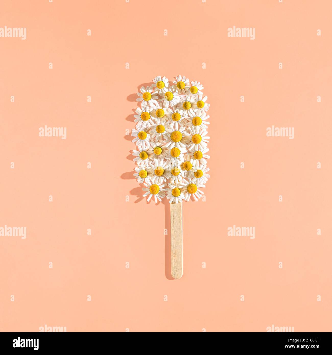 Healthy concept. Ice cream made from daisies. Color 2024. Peach Fuzz ...