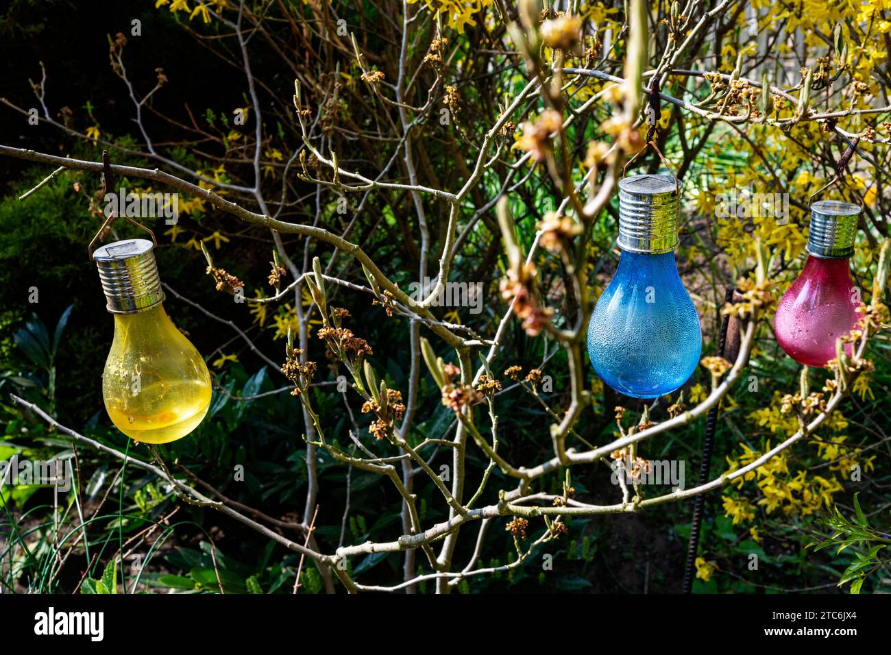 Coloured solar powered garden lights Stock Photo - Alamy