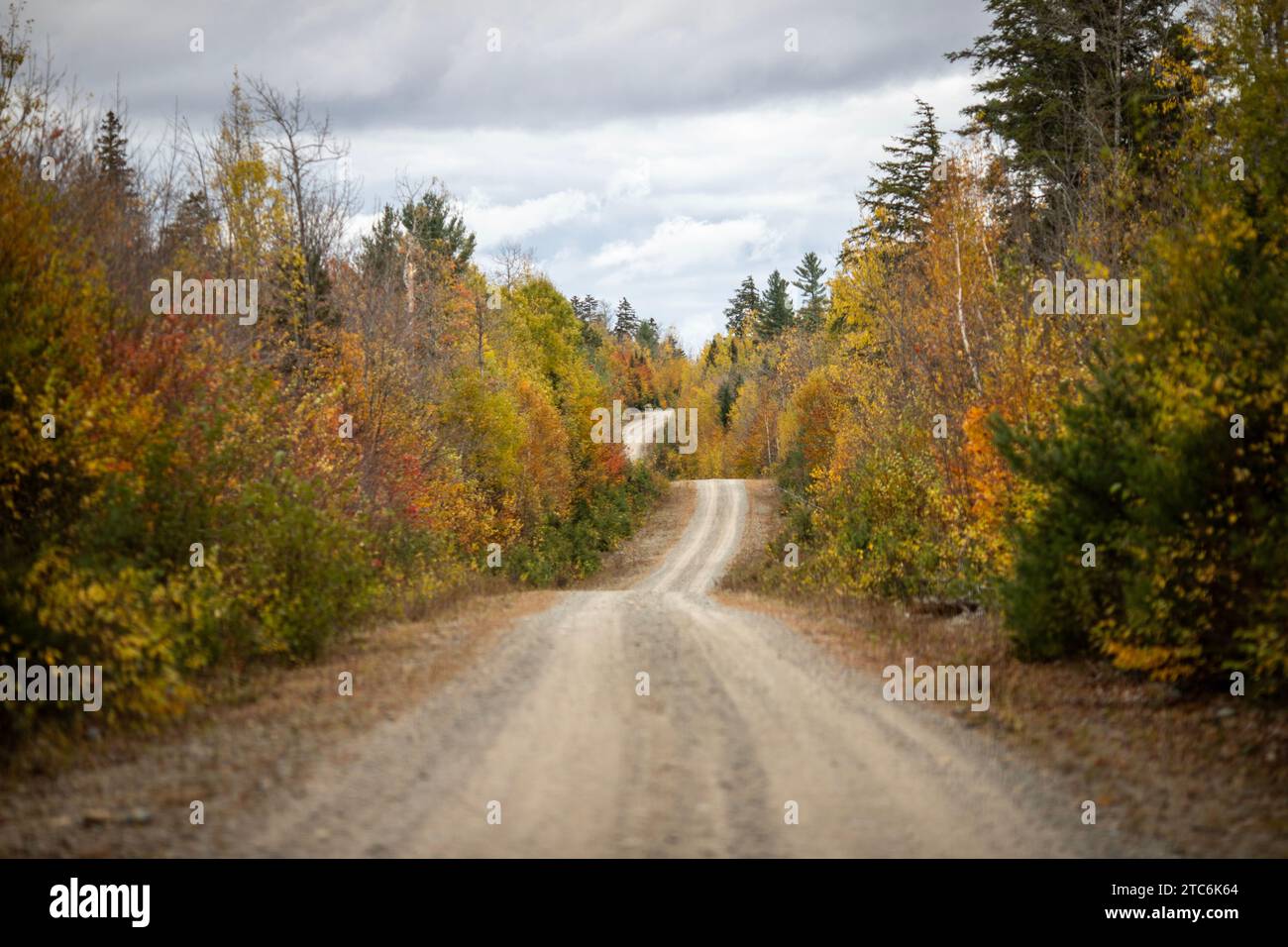 Golden road maine hires stock photography and images Alamy
