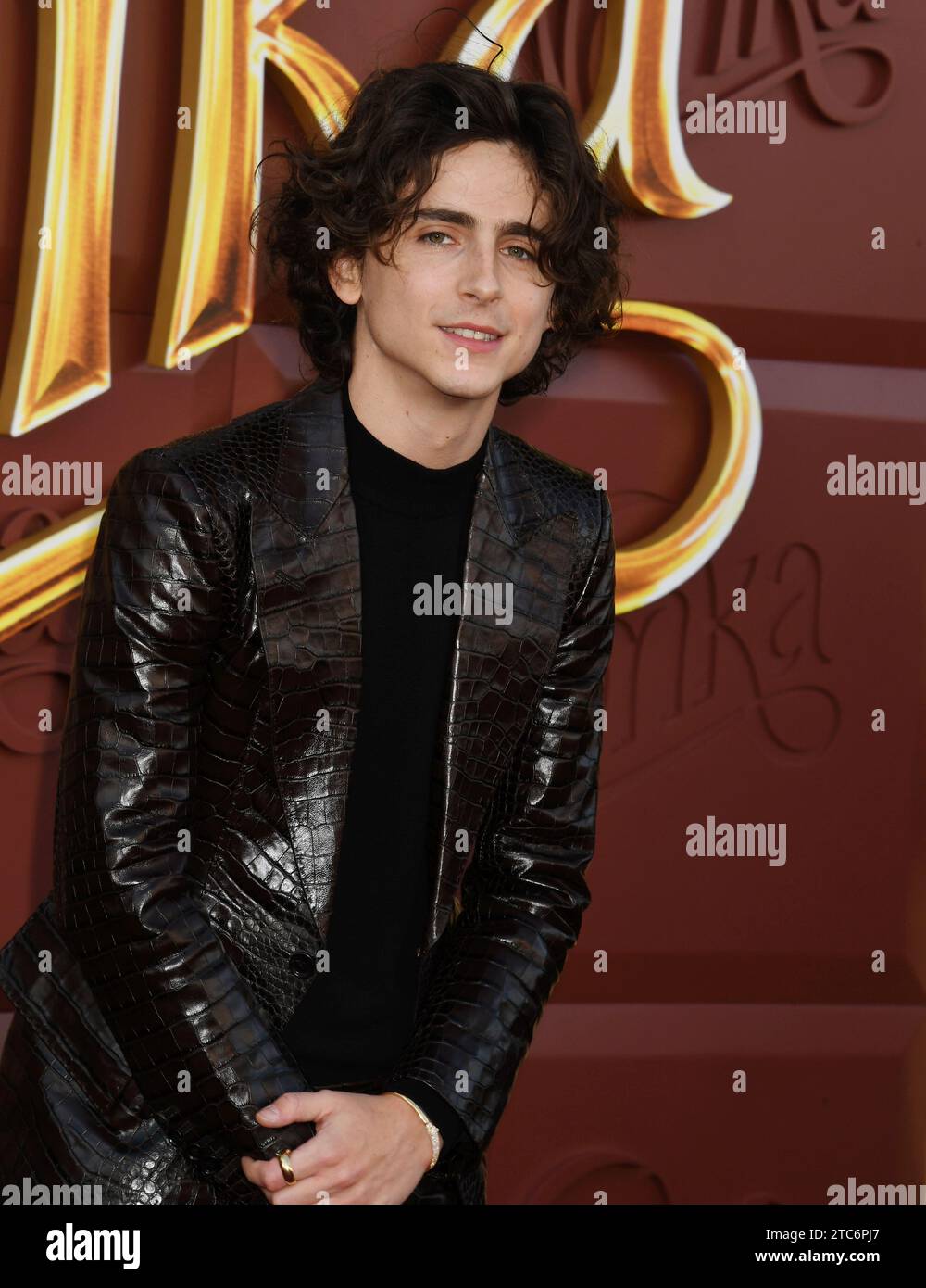 LOS ANGELES, CALIFORNIA - DECEMBER 10: Timothée Chalamet attends the ...