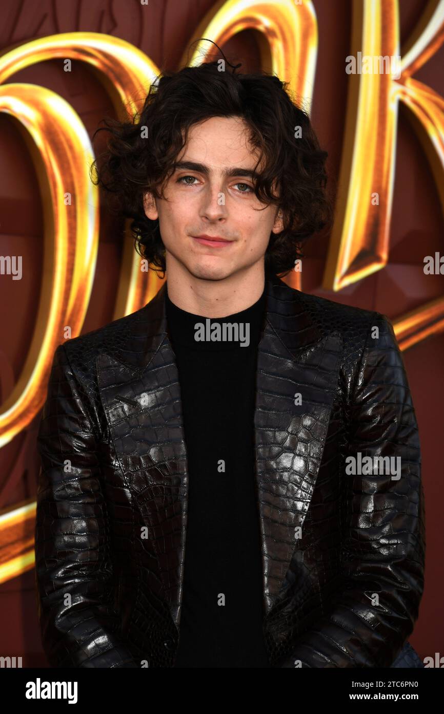 LOS ANGELES, CALIFORNIA - DECEMBER 10: Timothée Chalamet attends the ...