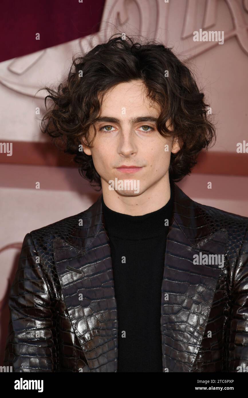 LOS ANGELES, CALIFORNIA - DECEMBER 10: Timothée Chalamet attends the ...
